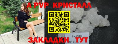 сатива Кузнецк