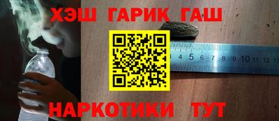 сатива Кузнецк